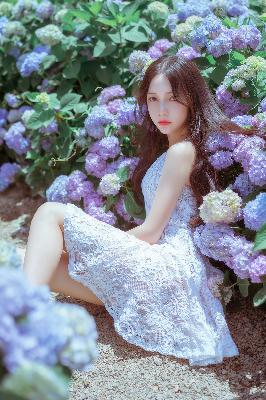 白月梵星电视剧在线观看全集免费播放