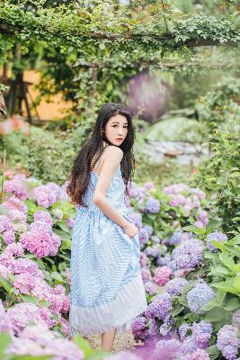 冰雪尖刀连 电视剧 在线观看