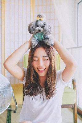 办公室3在线观看免费播放电视剧