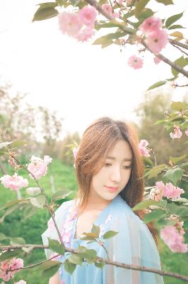 藏海花电视剧免费观看完整版